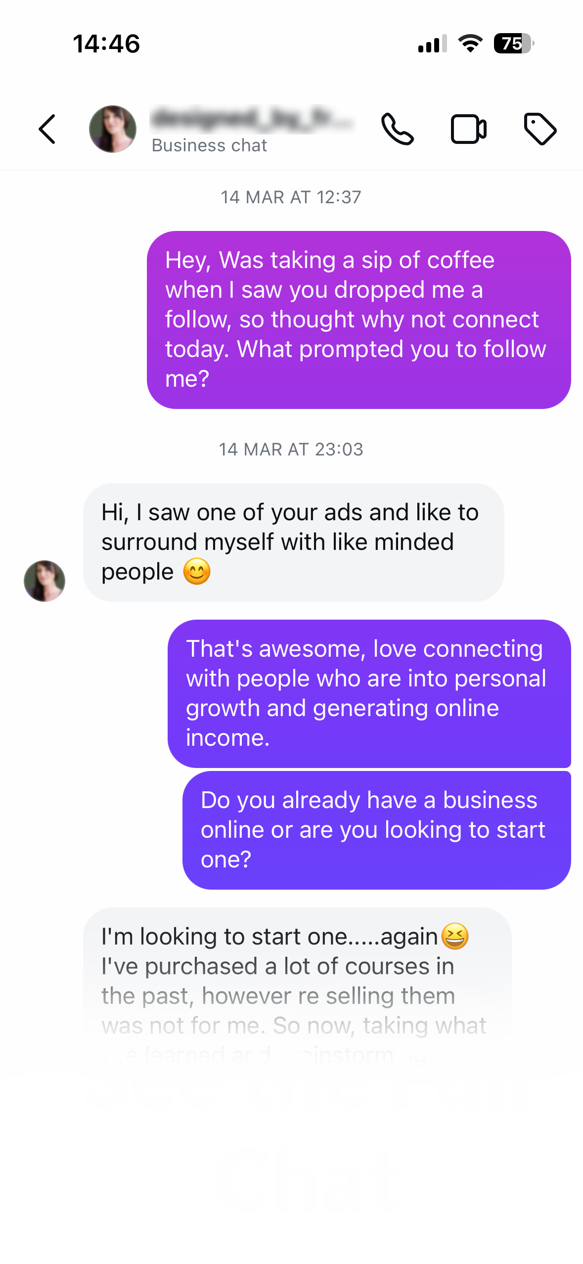 Conversation preview